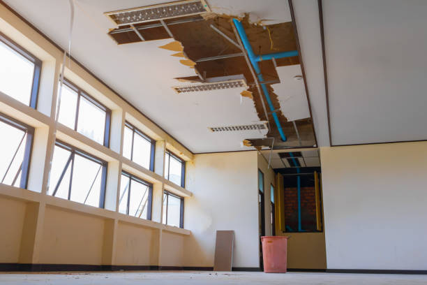 Best Professional water damage repair  in Noble, OK