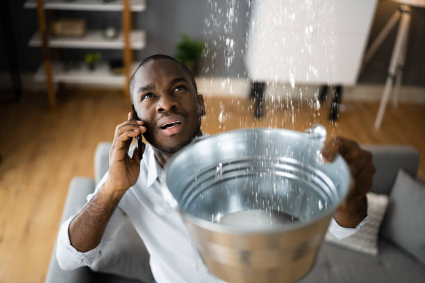 Best Water damage contractors near me  in Noble, OK