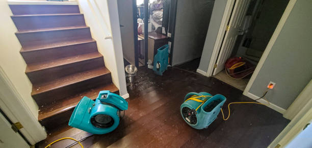 Best Water damage restoration near me  in Noble, OK