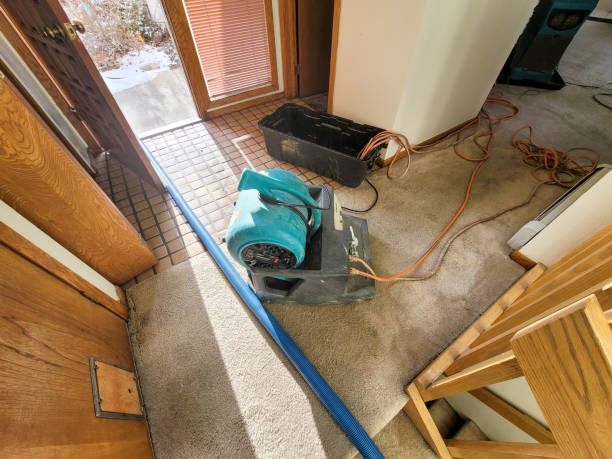 Best Emergency water damage restoration  in Noble, OK