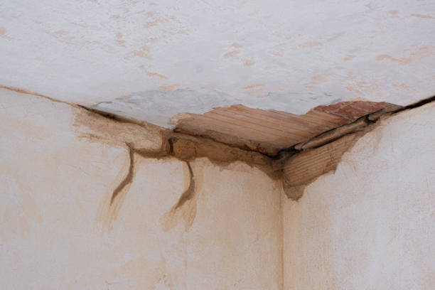 Best Water damage cleanup near me  in Noble, OK