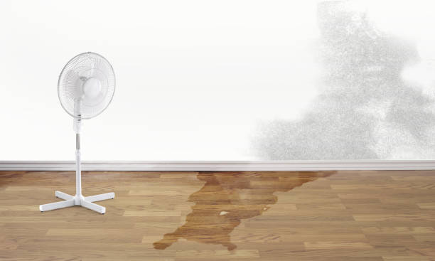 Best 24/7 water damage repair  in Noble, OK