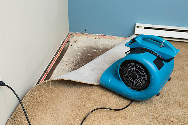Best Basement water damage restoration  in Noble, OK